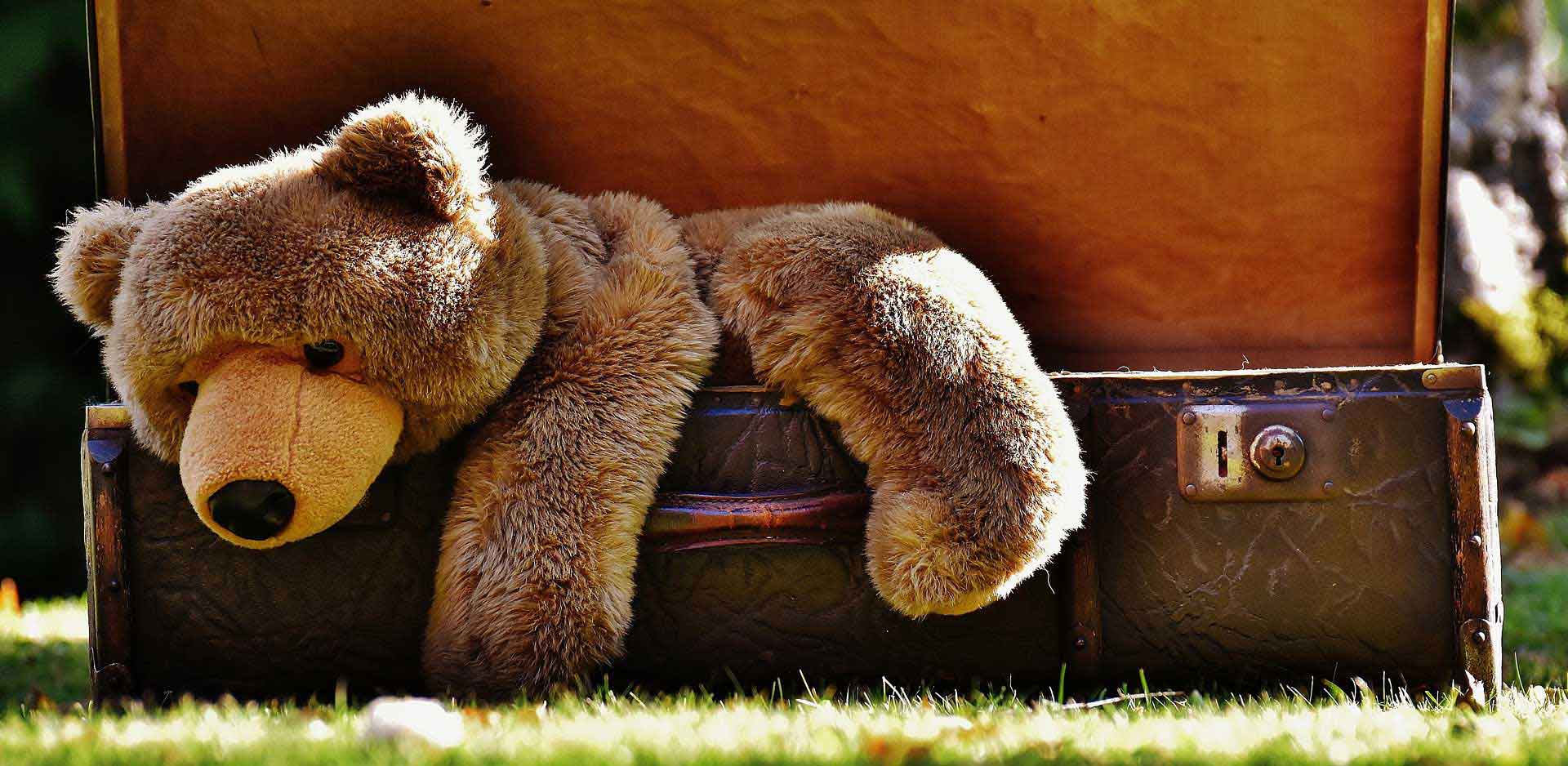 Karhu makaa laukun päällä.